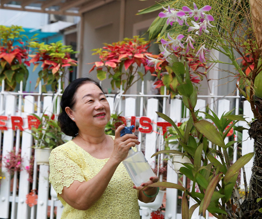 Vườn của cư dân