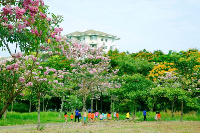 Pink Trumpet Flowers Bloom at Wonderland Park, Phú Mỹ Hưng
