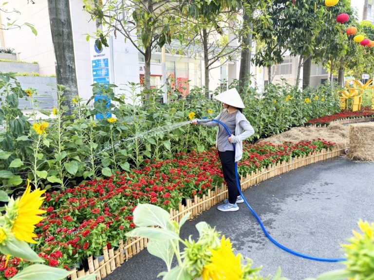 Phu My Hung Flower Street 2026: Busy final touches before opening
